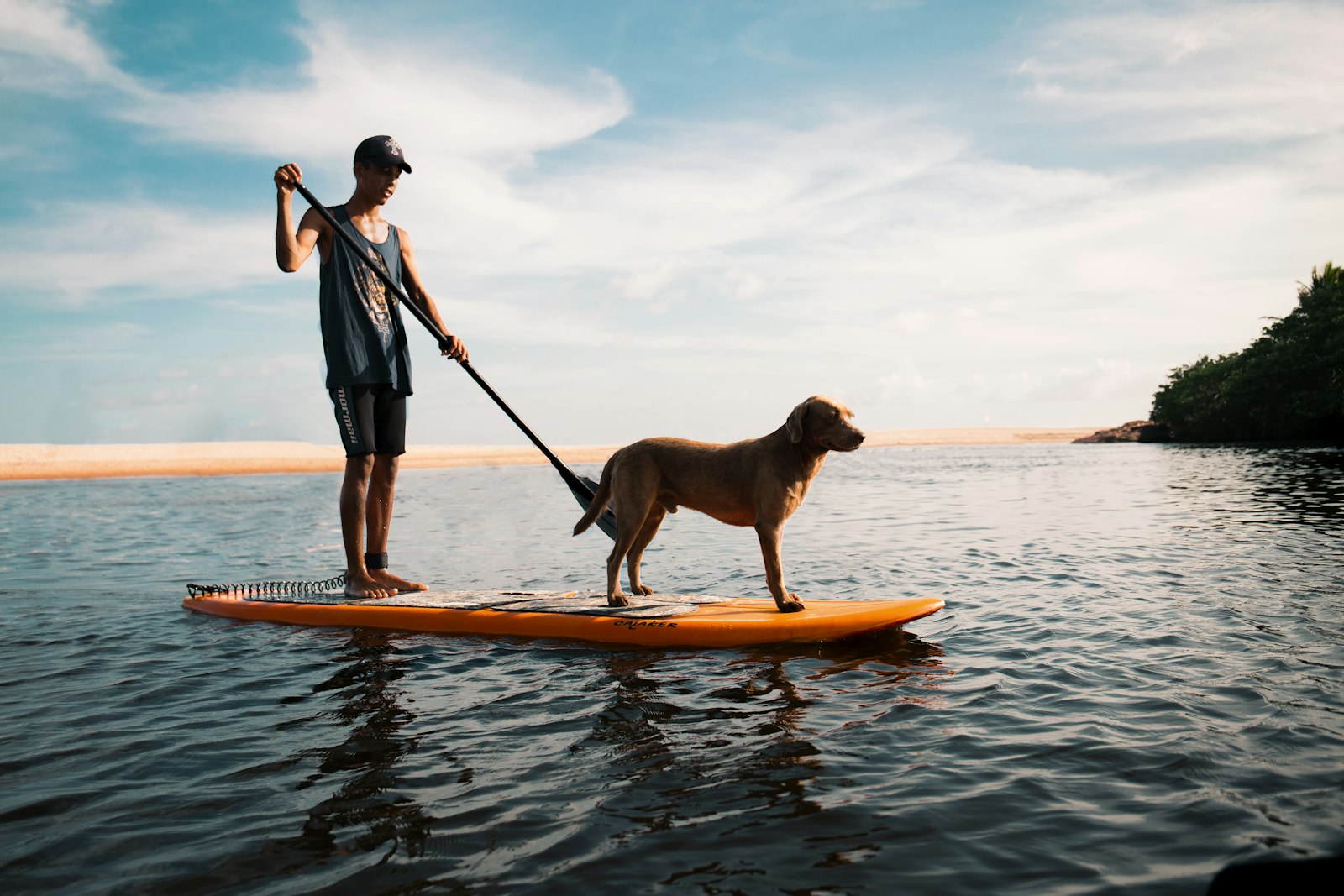 Man and dog on a paddleboard — SUP with your dog tips for paddling
